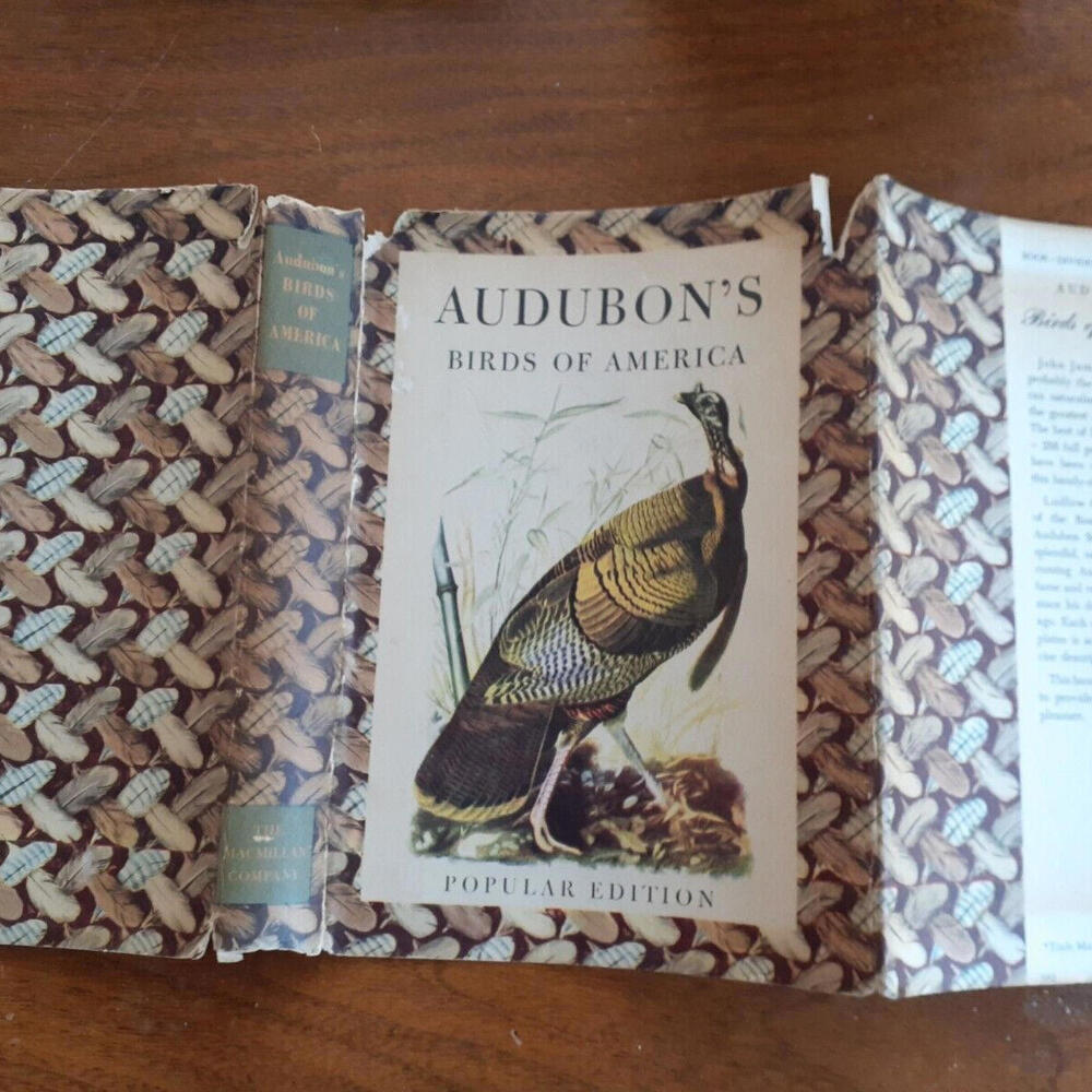 Audubon Birds of America 1950